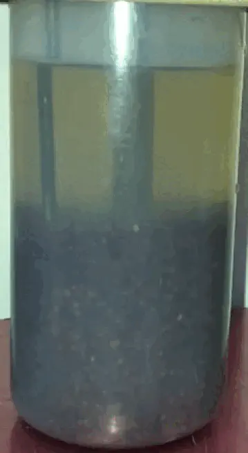 Observation expérimentale de l’hydrodynamique et de la distribution des particules à 550 tr·min⁻¹.