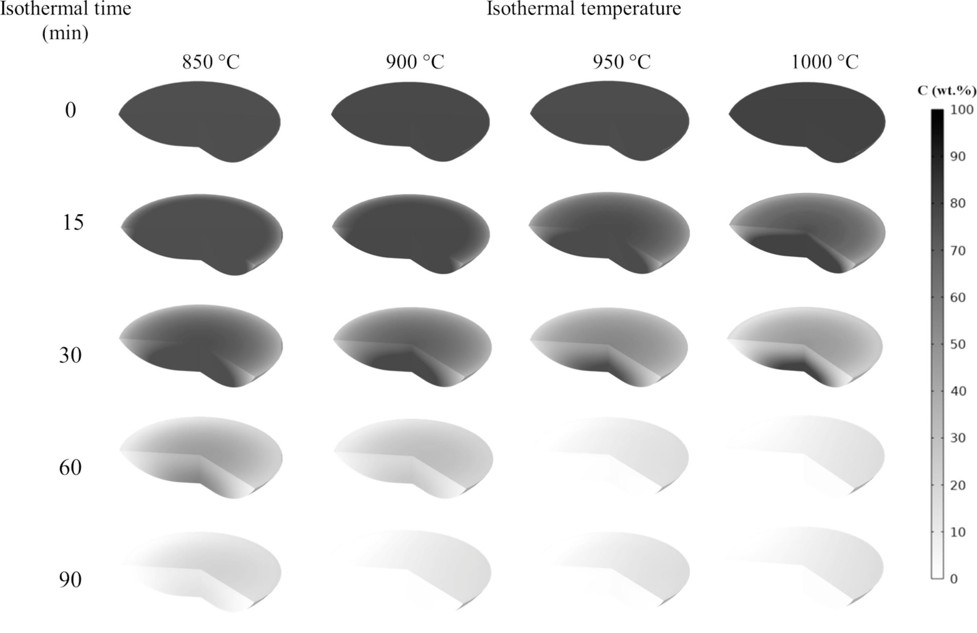 Évolution simulée de la teneur en carbone du char à 850, 900, 950 et 1000 °C pour différents temps isothermes.