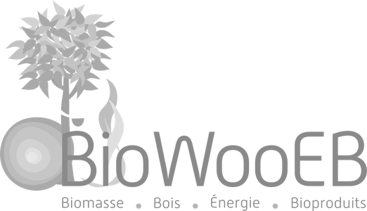 BioWooEB logo